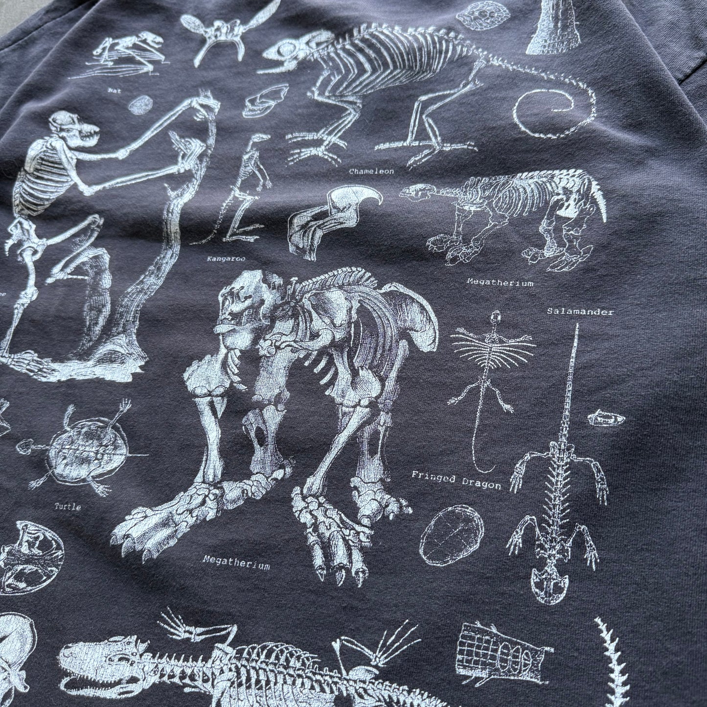90’s Prehistoric Animal Skeleton Anatomy Tee