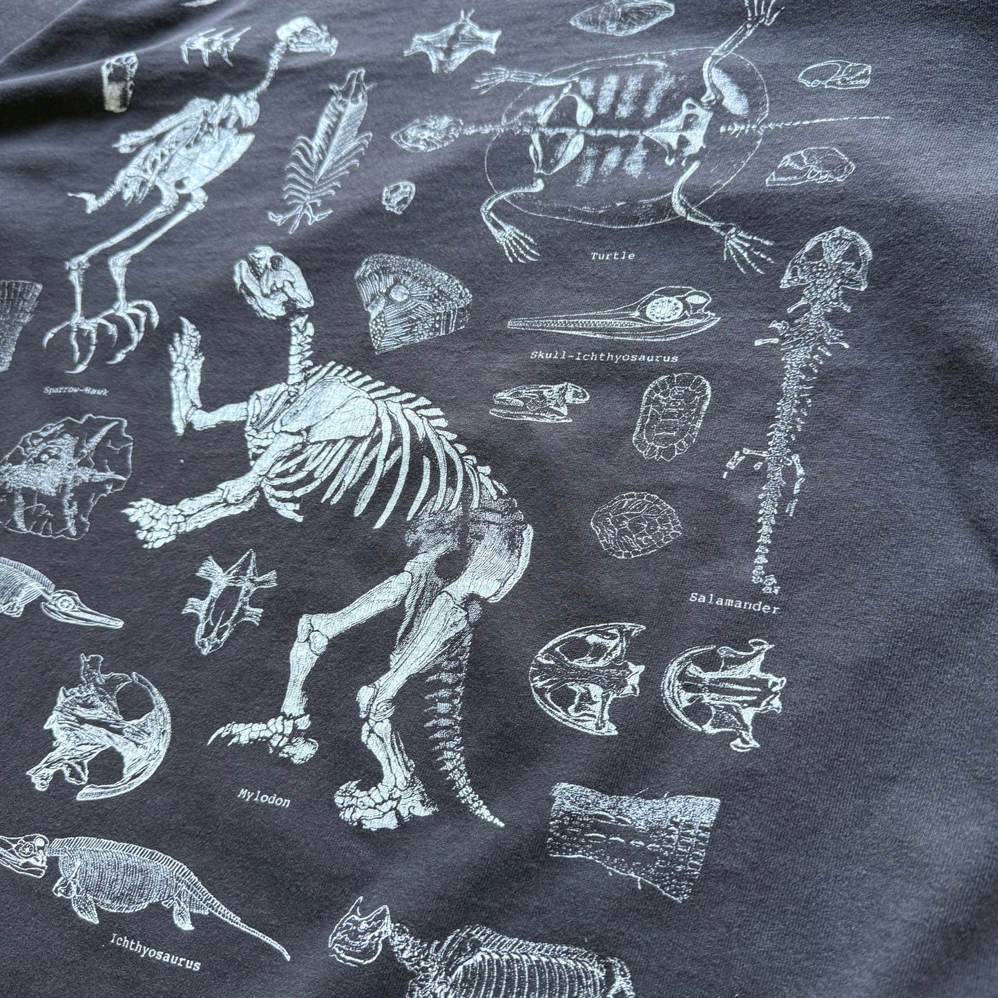90’s Prehistoric Animal Skeleton Anatomy Tee
