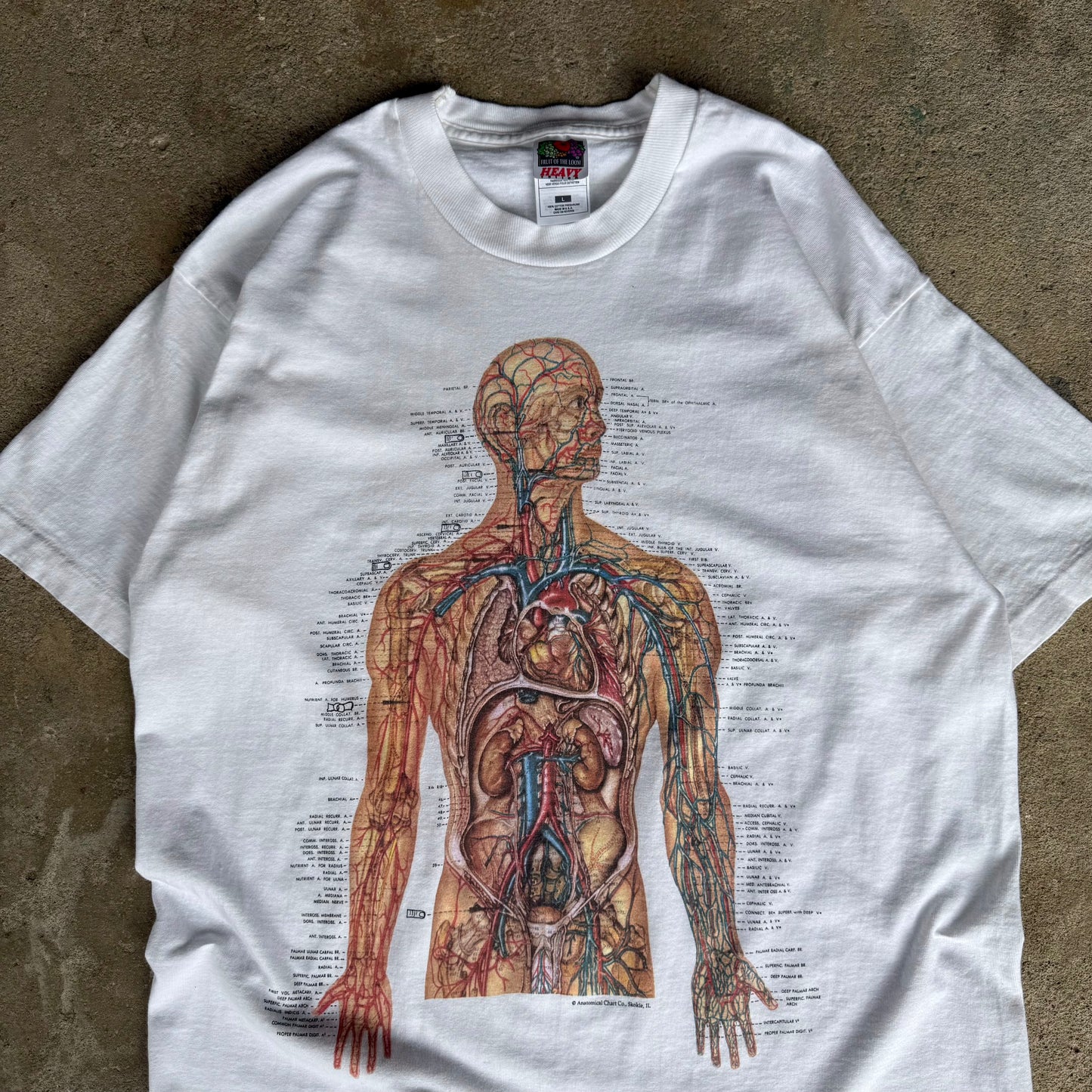 90’s Big Print Anatomy Shirt Size L
