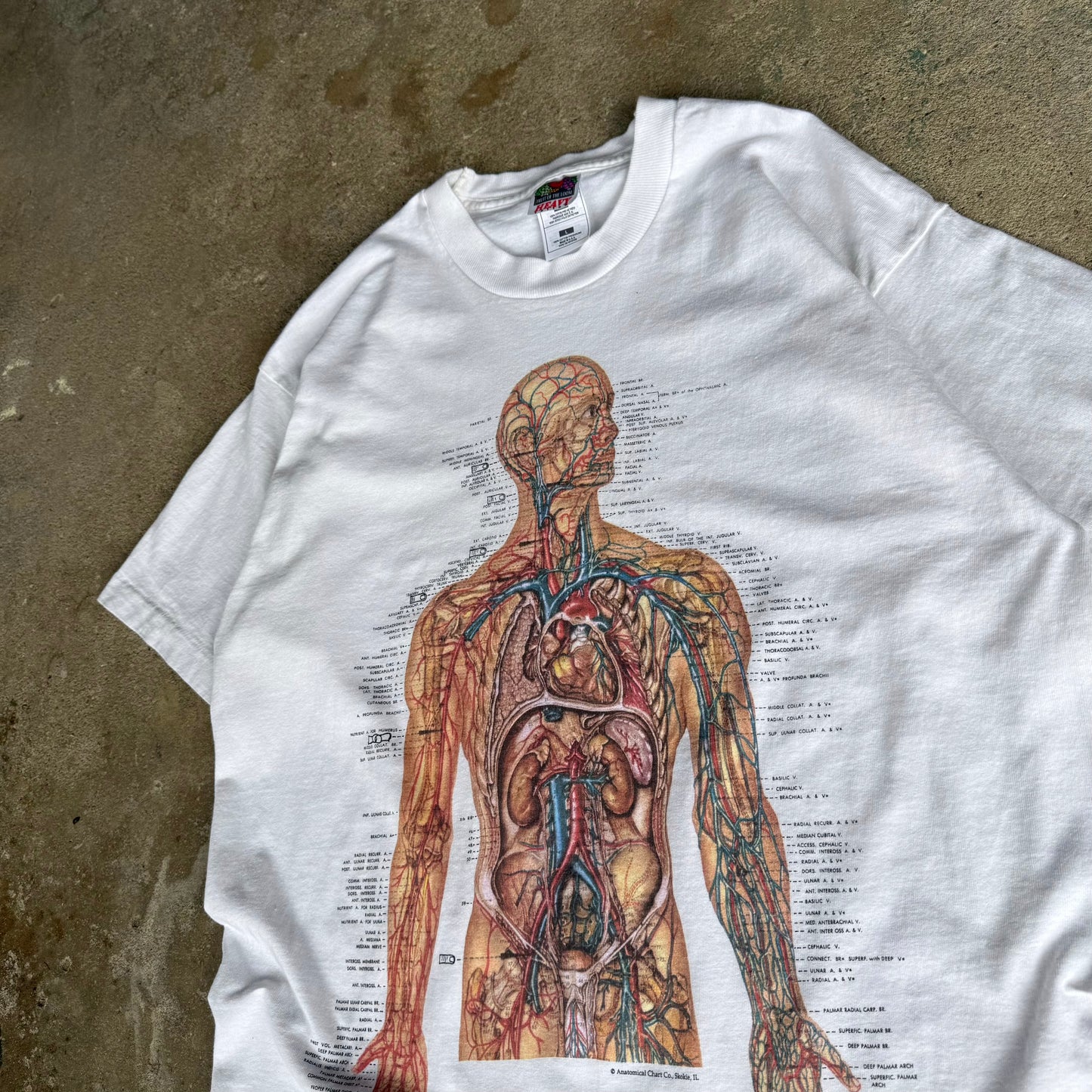 90’s Big Print Anatomy Shirt Size L