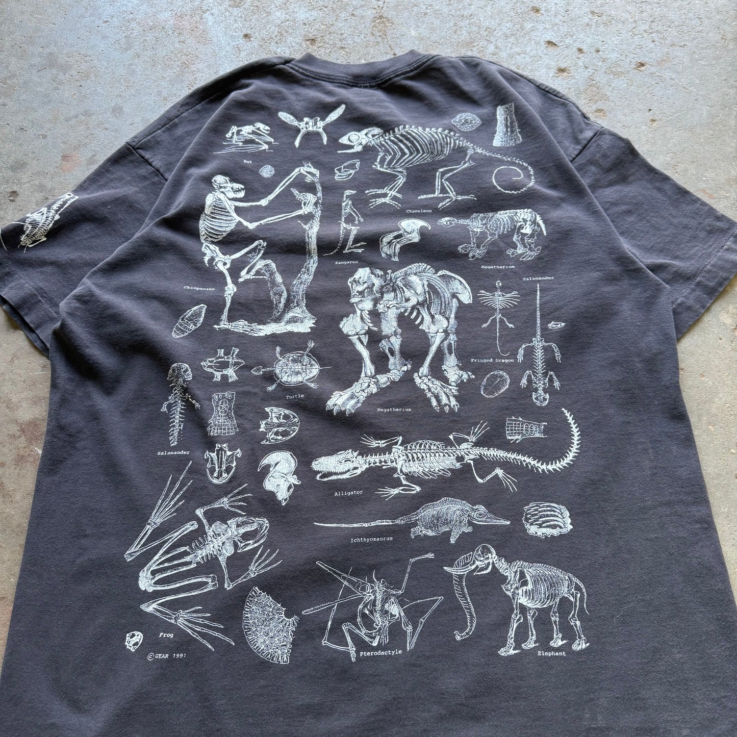90’s Prehistoric Animal Skeleton Anatomy Tee