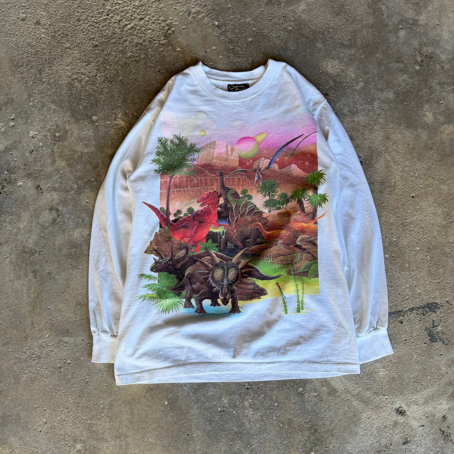 90’s Lisa Chapman Dinosaur Nature Art Shirt Size L