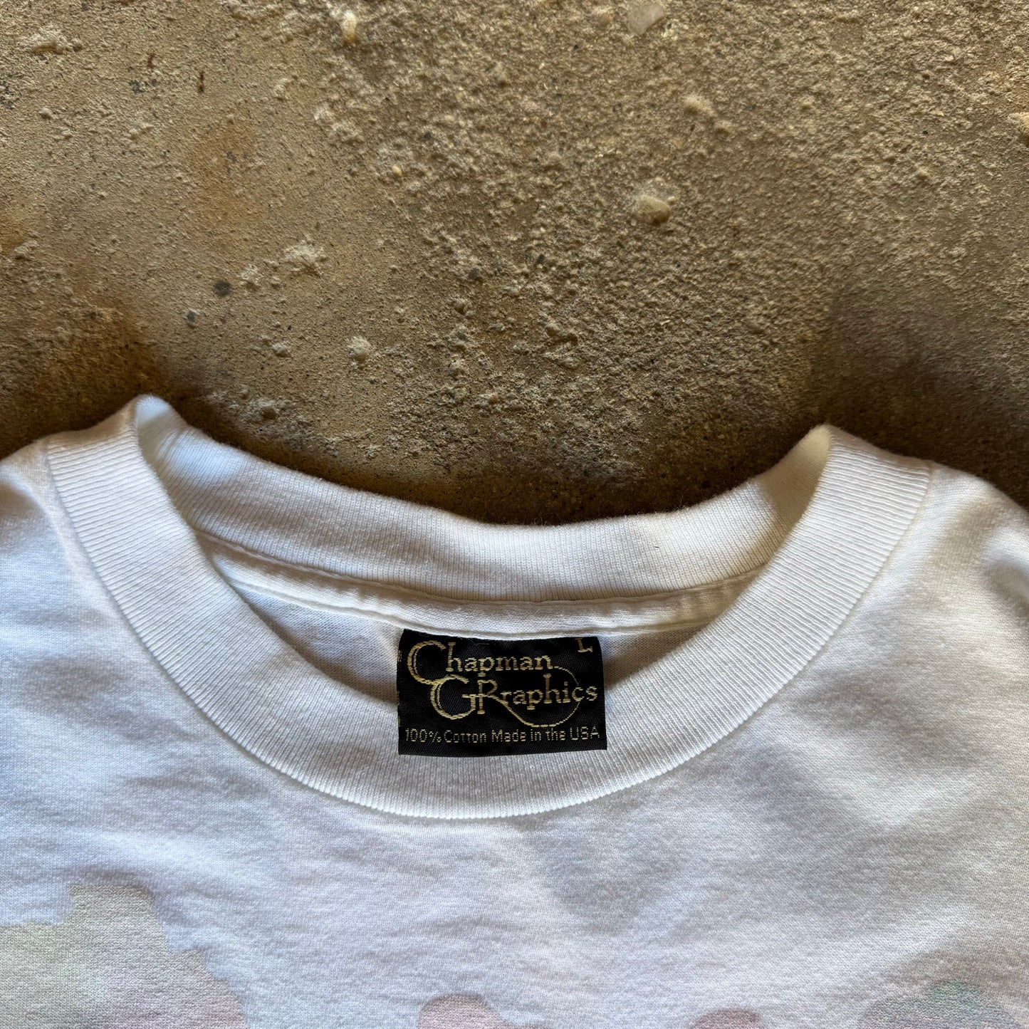 90’s Lisa Chapman Dinosaur Nature Art Shirt Size L