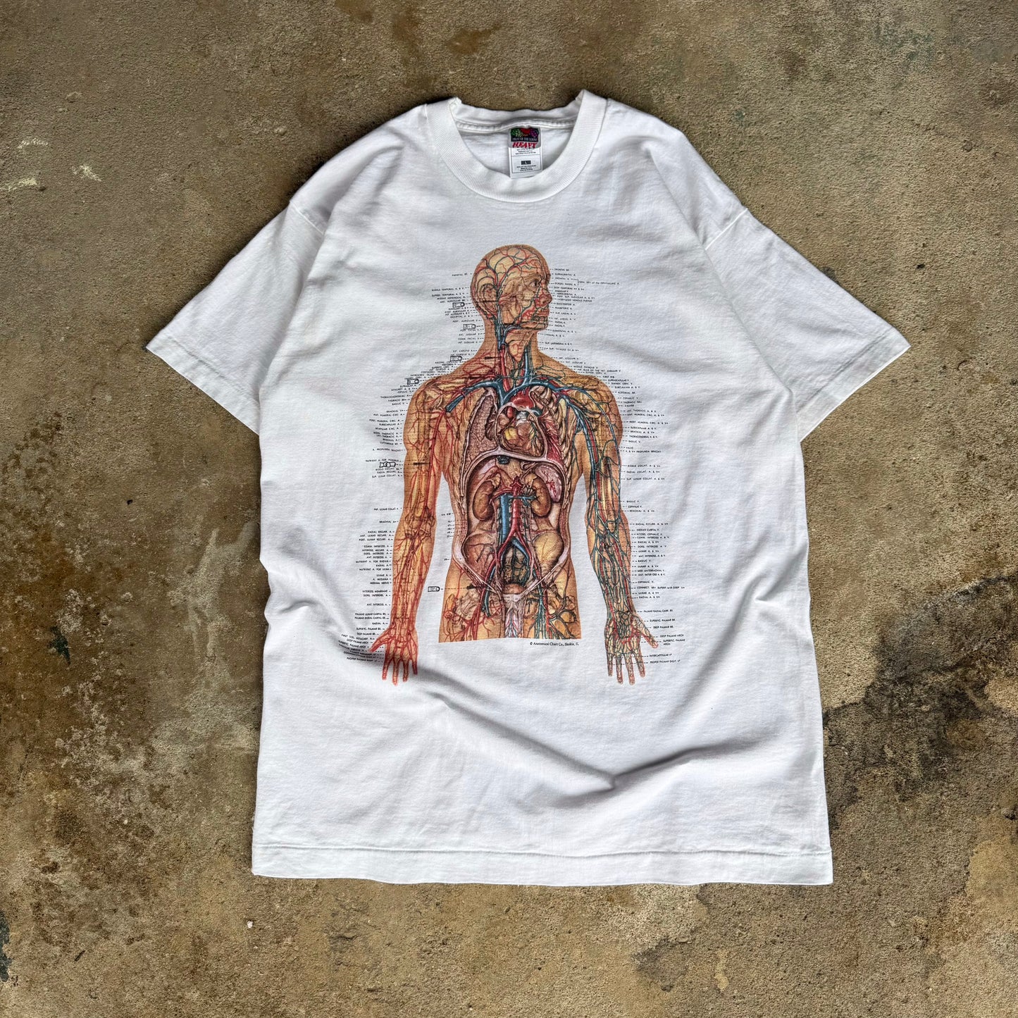 90’s Big Print Anatomy Shirt Size L