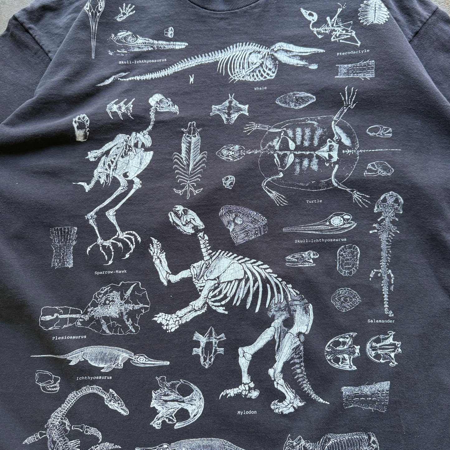 90’s Prehistoric Animal Skeleton Anatomy Tee